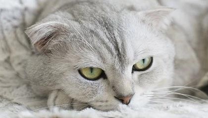 福建一副厅长，已任市委副书记（附简历）