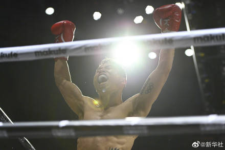 中国拳手夺WBA超蝇量级国际金腰带